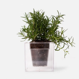 Boskke Cube